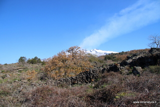 Grotta Sciara Galifi